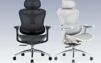 SIHOO Doro-C300 Ergonomic Office Chair Review