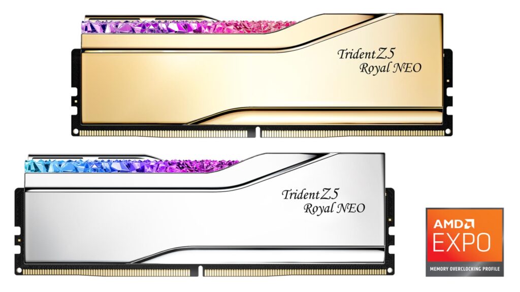 1 gold and 1 silver RAM module of G.SKILL Trident Z5 Royal NEO